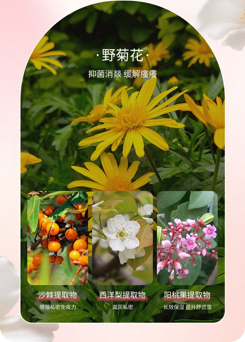 描述圖_06.jpg