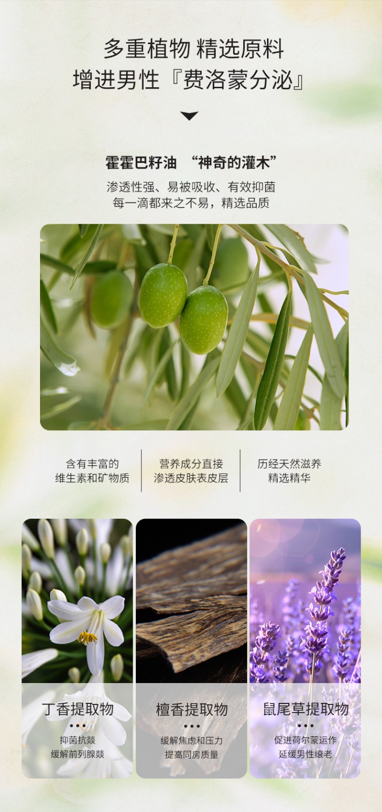 描述圖_06.jpg