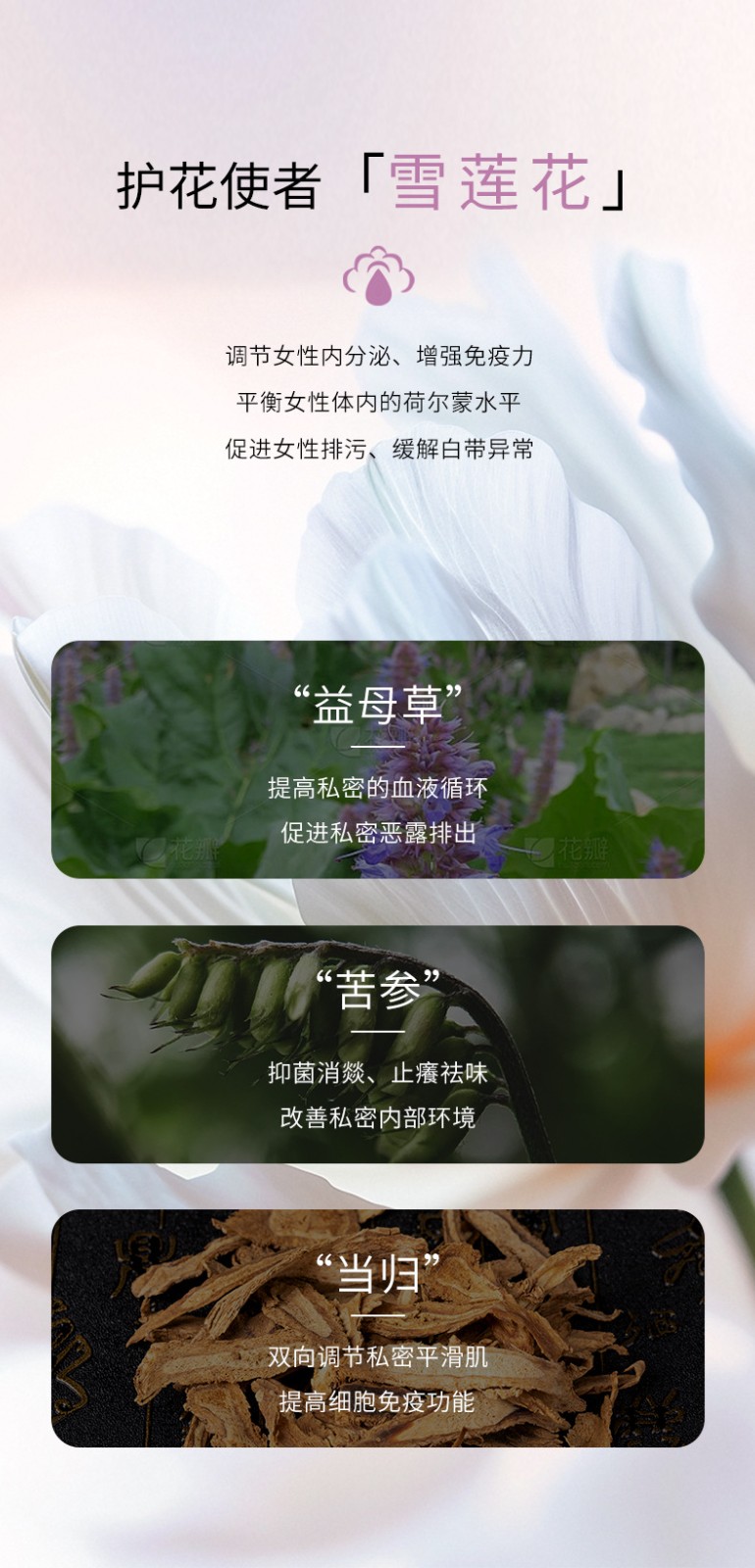 描述圖_08.jpg