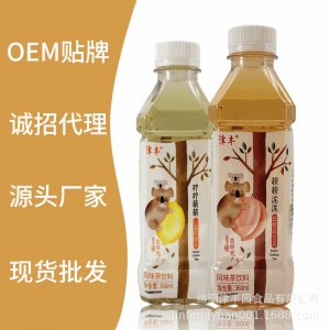 津豐風(fēng)味茶飲料檸檬味白桃烏龍味360ml貼牌OEM/ODM
