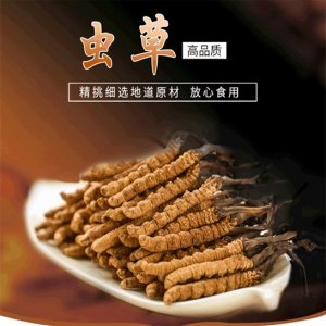 西藏蟲(chóng)草干OEM/ODM定制代加工