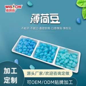 廣東維思奇食品有限公司