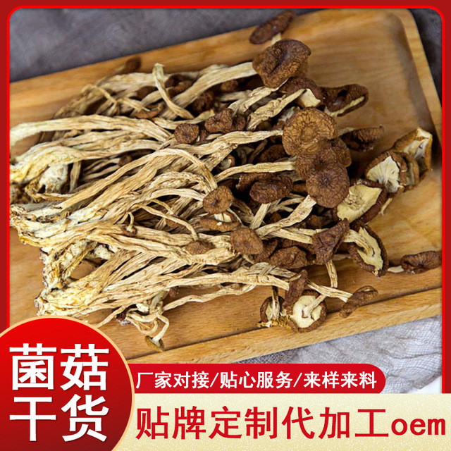 茶樹(shù)菇食用菌菇OEM代加工
