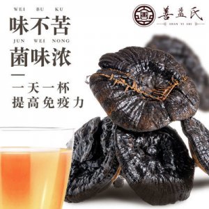 正宗野生特級(jí)長(zhǎng)柄黑靈芝OEM/ODM代加工