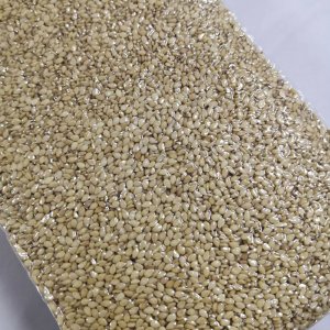 真空包裝熟白芝麻500g貼牌定制代加工