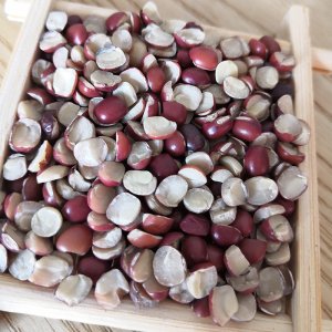 東北紅小豆破半紅豆貼牌OEM/ODM