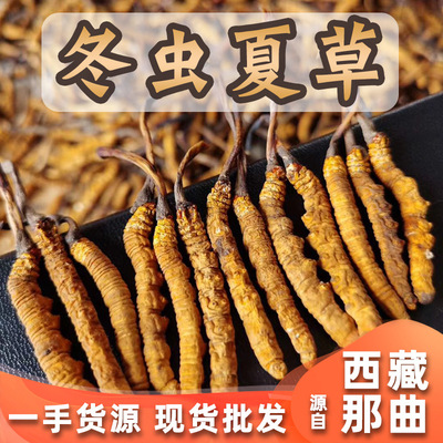 西藏那曲冬蟲(chóng)夏草貼牌定制代加工