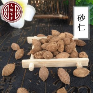 砂仁干果500gOEM代加工