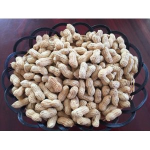 龍巖特產(chǎn)2.5kg蒜味小珍珠花生 休閑零食小吃堅(jiān)果炒貨類食品OEM代加工