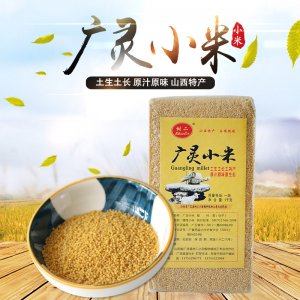 小米貼牌定制代加工