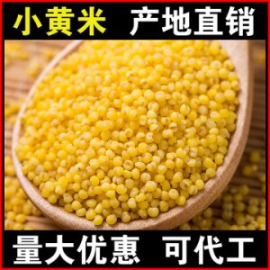 小黃米OEM/ODM