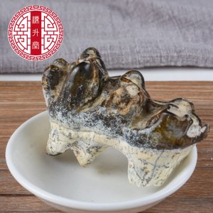 青龍齒OEM/ODM定制代加工