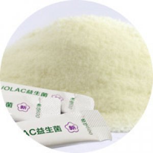 益生菌凍干粉成人兒童女性可OEM/ODM代工