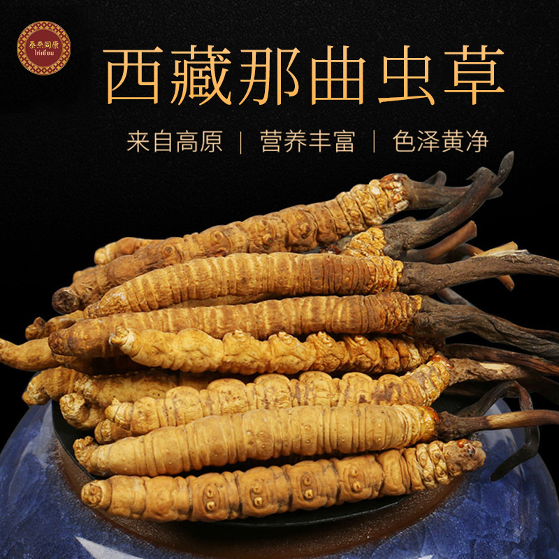 西藏那曲冬蟲夏草OEM代加工