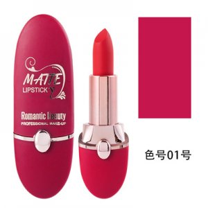 跨境專(zhuān)供歐美時(shí)尚圓管啞光口紅代加工貼牌OEM/ODM