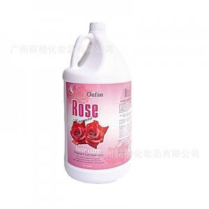 發(fā)廊美發(fā)用品洗發(fā)露