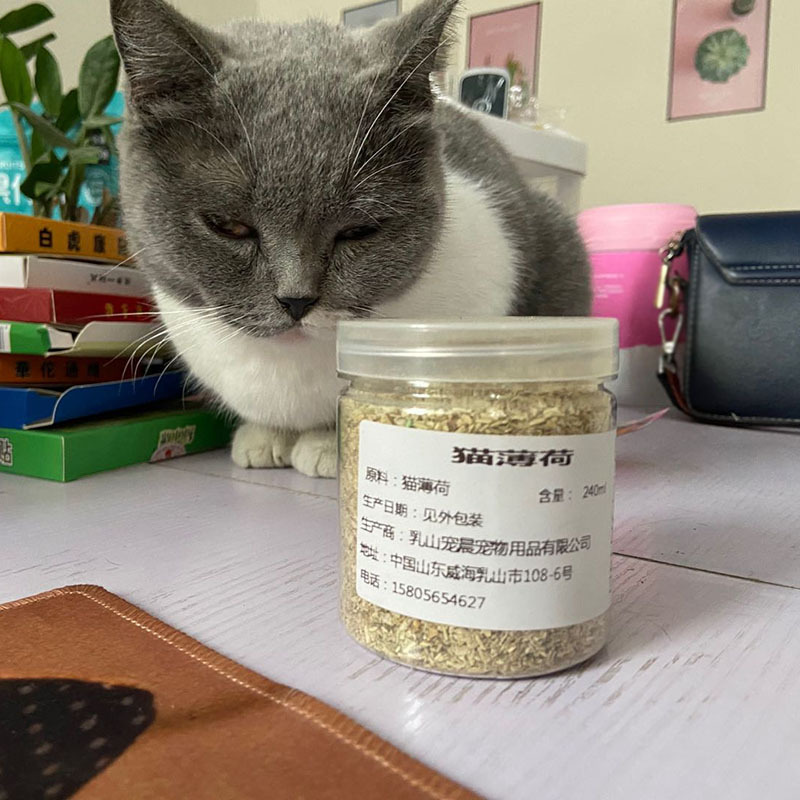 貓薄荷粉瓶裝OEM/ODM定制代加工