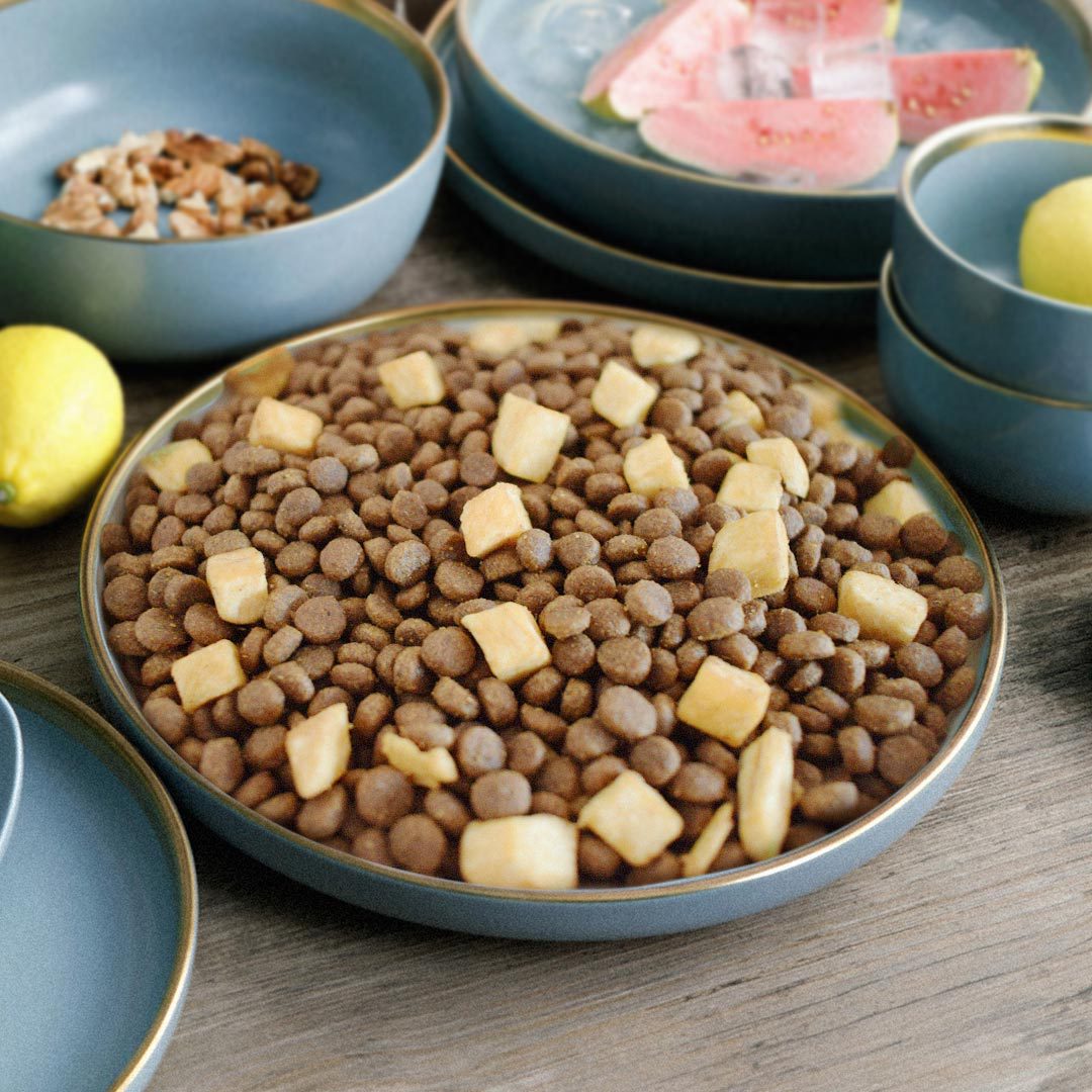 全價(jià)寵物食品無(wú)谷凍干貓狗糧OEM/ODM代加工