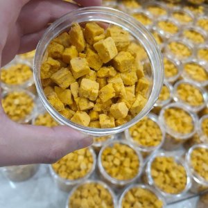 德州海榮寵物用品有限公司