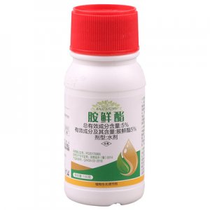 胺鮮酯水劑DA-6促生長(zhǎng)植物生長(zhǎng)調(diào)節(jié)劑代加工貼牌OEM/ODM