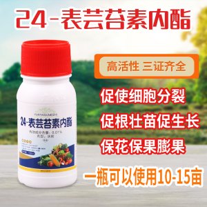 蕓苔素內(nèi)酯水劑0.01%植物生長(zhǎng)調(diào)節(jié)劑貼牌OEM/ODM
