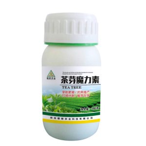 茶樹(shù)葉面肥貼牌定制代加工