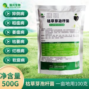 有機種植益生菌菌粉貼牌OEM/ODM