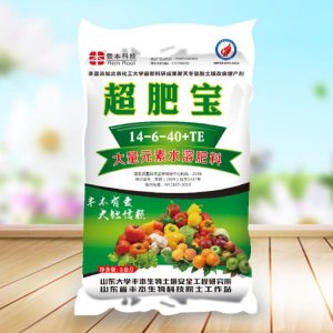 山東豐本生物科技股份有限公司