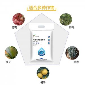 風(fēng)光農(nóng)業(yè)水溶肥草莓 肥貼牌定制代加工