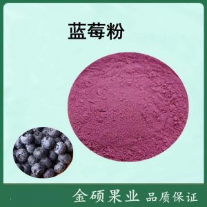 藍(lán)莓果粉代加工貼牌OEM/ODM