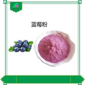 藍(lán)莓果粉OEM/ODM定制代加工