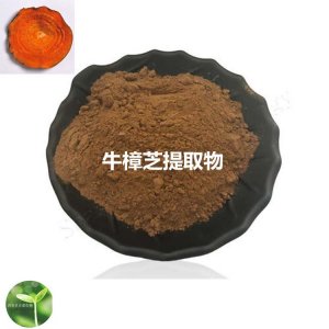 牛樟芝提取物OEM/ODM定制代加工