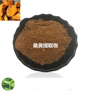 桑黃提取物貼牌OEM/ODM