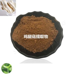 雞腿菇提取物可OEM/ODM代工