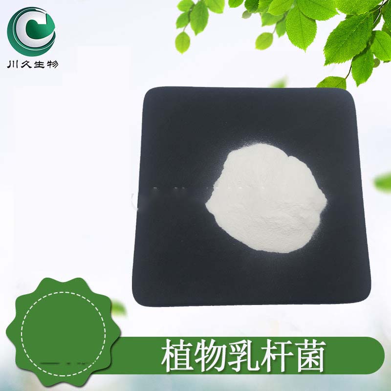 （益生菌原粉）植物乳桿菌OEM代加工,實力工廠日產(chǎn)量高達2000件