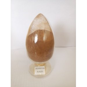 姬松茸多糖10%提取物OEM代加工