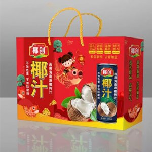 椰創(chuàng)椰汁風(fēng)味飲料箱裝OEM代加工
