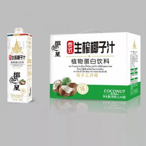 椰芝星（廣東）食品有限公司