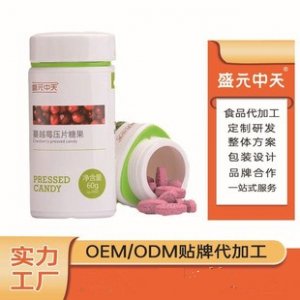 盛元中天（東莞）食品科技有限公司
