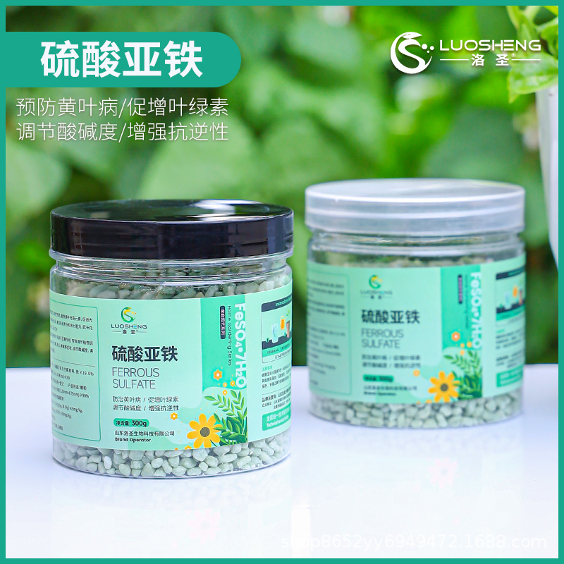 洛圣硫酸亞鐵貼牌定制代加工
