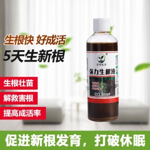 生根劑壯苗發(fā)根生根快速生根液OEM/ODM代加工