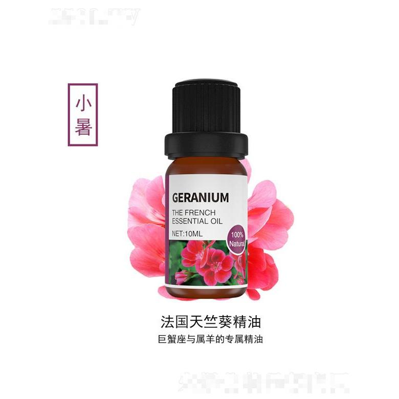 法國天竺葵精油 10ml
