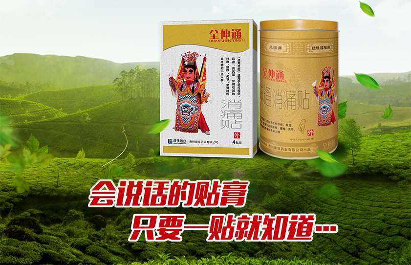 貴州康珠藥業(yè)有限公司