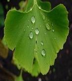 湖南金捷生物工程有限公司