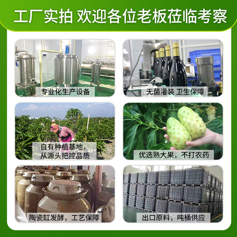 復(fù)合飲品口服液孝素OEM代加工