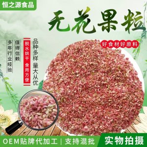 無(wú)花果碎廠家批發(fā)供應(yīng)無(wú)花果粒烘焙糕點(diǎn)奶茶裝飾使用原料