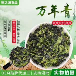 脫水蔬菜萬(wàn)年青 散裝脫水干菜涼拌菜 脫水菜心 批發(fā)供應(yīng)量大價(jià)優(yōu)