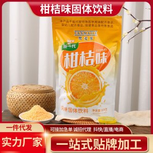 新一代柑桔味風(fēng)味固體飲料 500gVC果汁富含維生素C橙味果