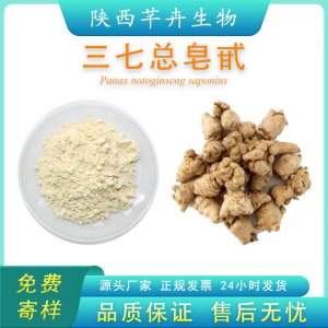 三七總皂苷80% 三七皂甙 藥典標(biāo)準(zhǔn)液相檢測(cè) 100g 袋 廠家包郵