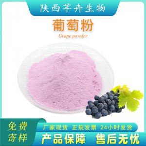 葡萄粉99% 葡萄果粉 葡萄提取物 水溶 口感好 代餐粉 1kg廠家包郵